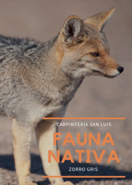 carpinteria15