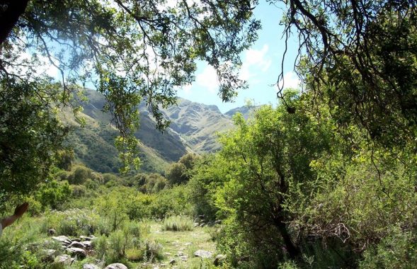 carpinteria_1