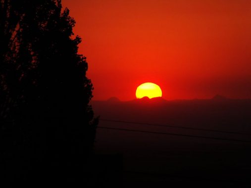 carpinteria_5