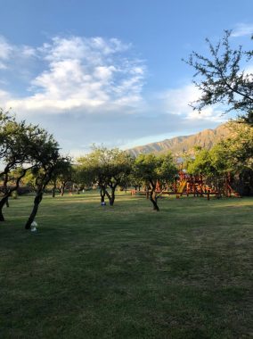 La Toscana (22)